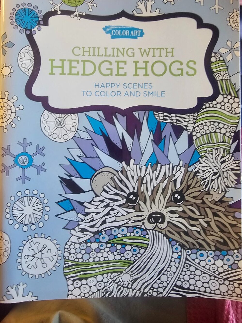 Color Art "Chilling With Hedge Hogs" Coloring Book - Blue, Brown, Tan Accents